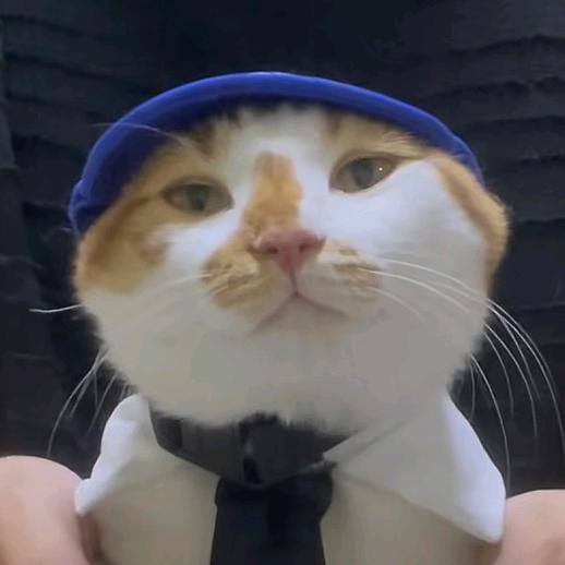 老实了