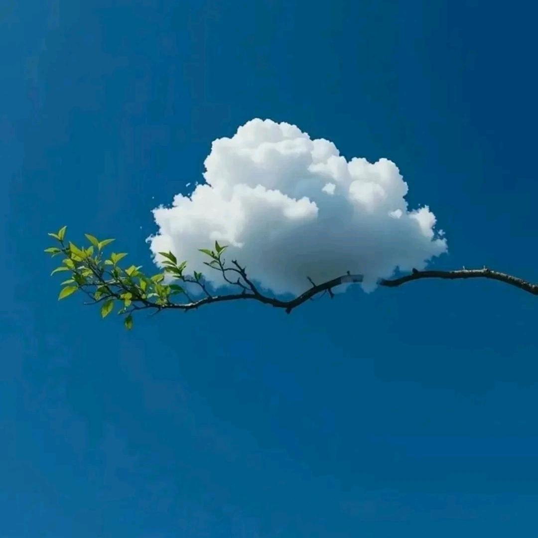 荣
