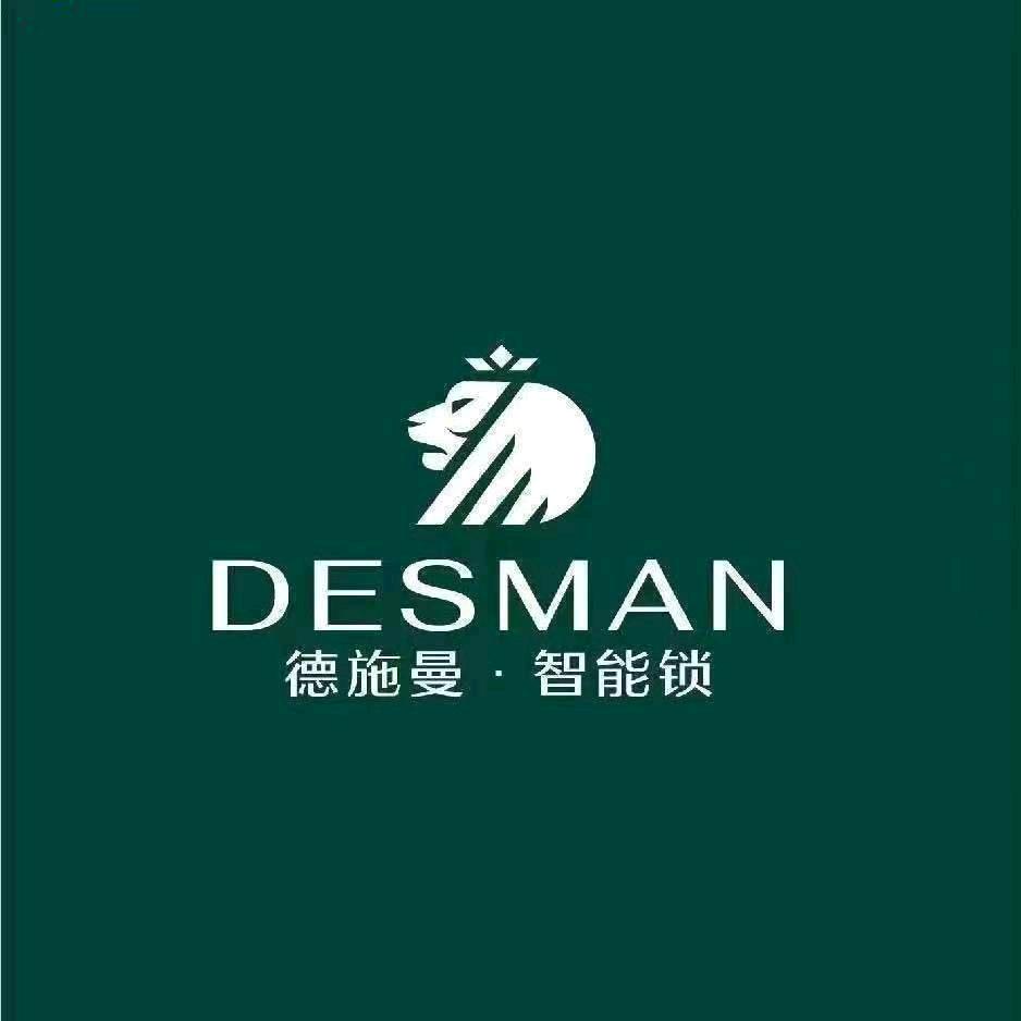 德施曼智能锁紫金店