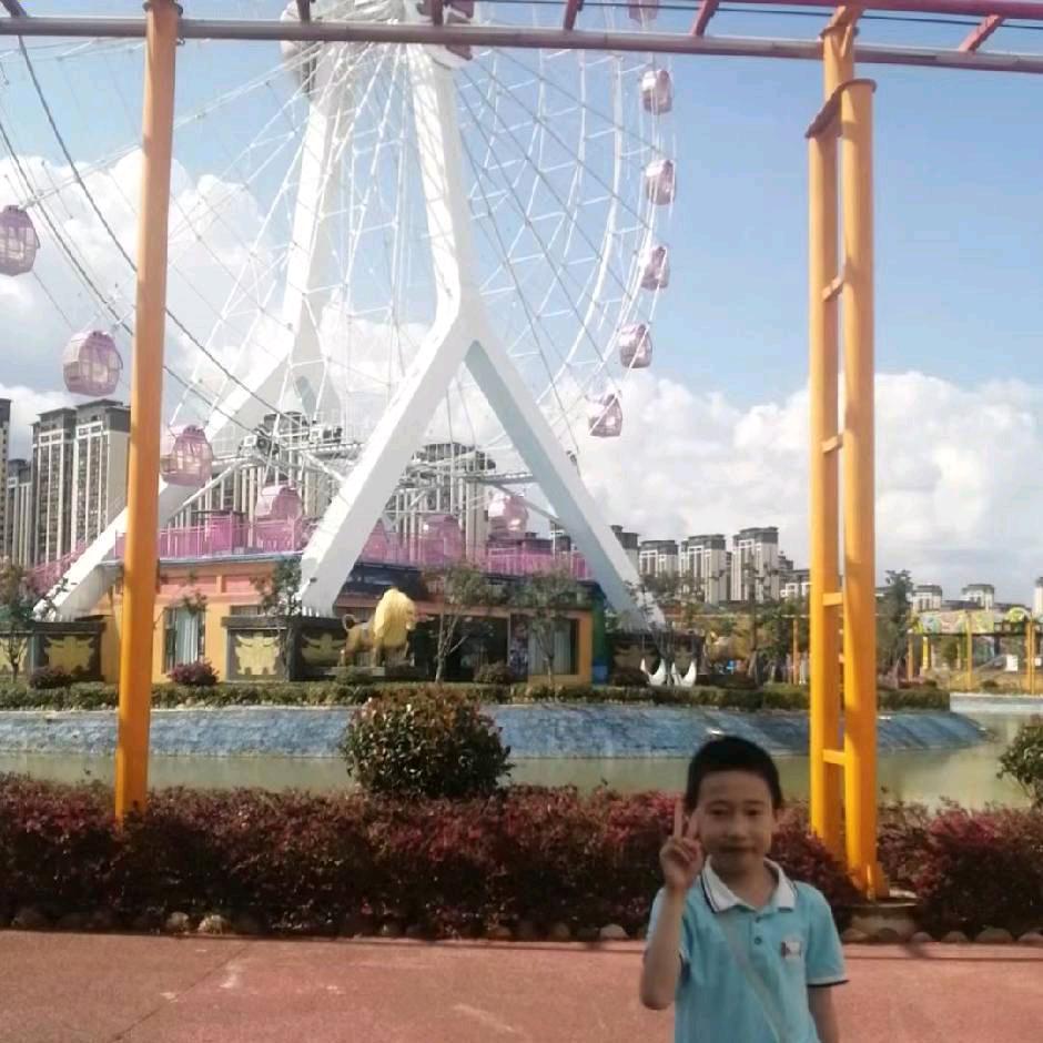 小龙哥哥