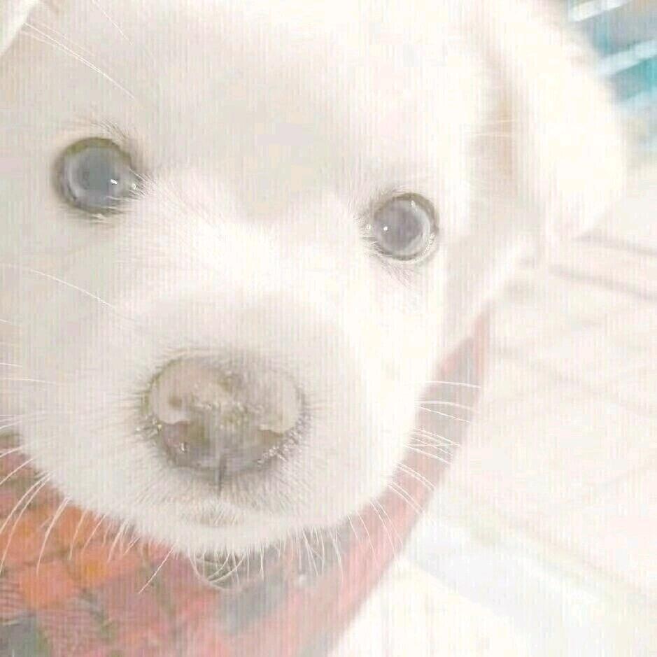 怀民不在