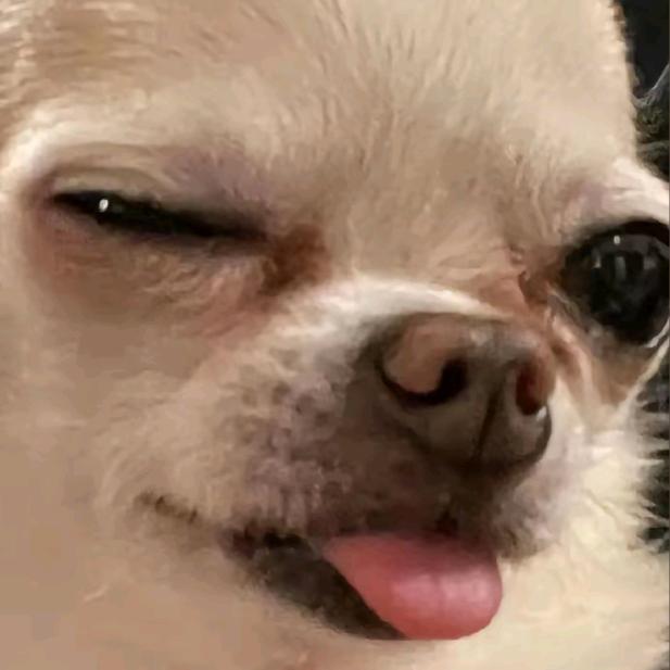 逃不乐🅴（只差南俊版）