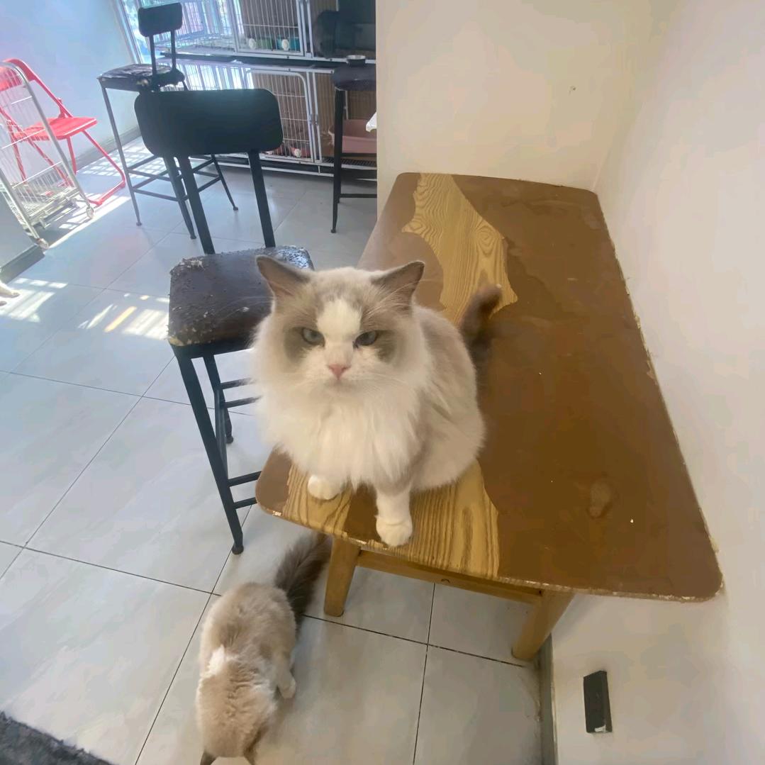 改不了别人就改变自己