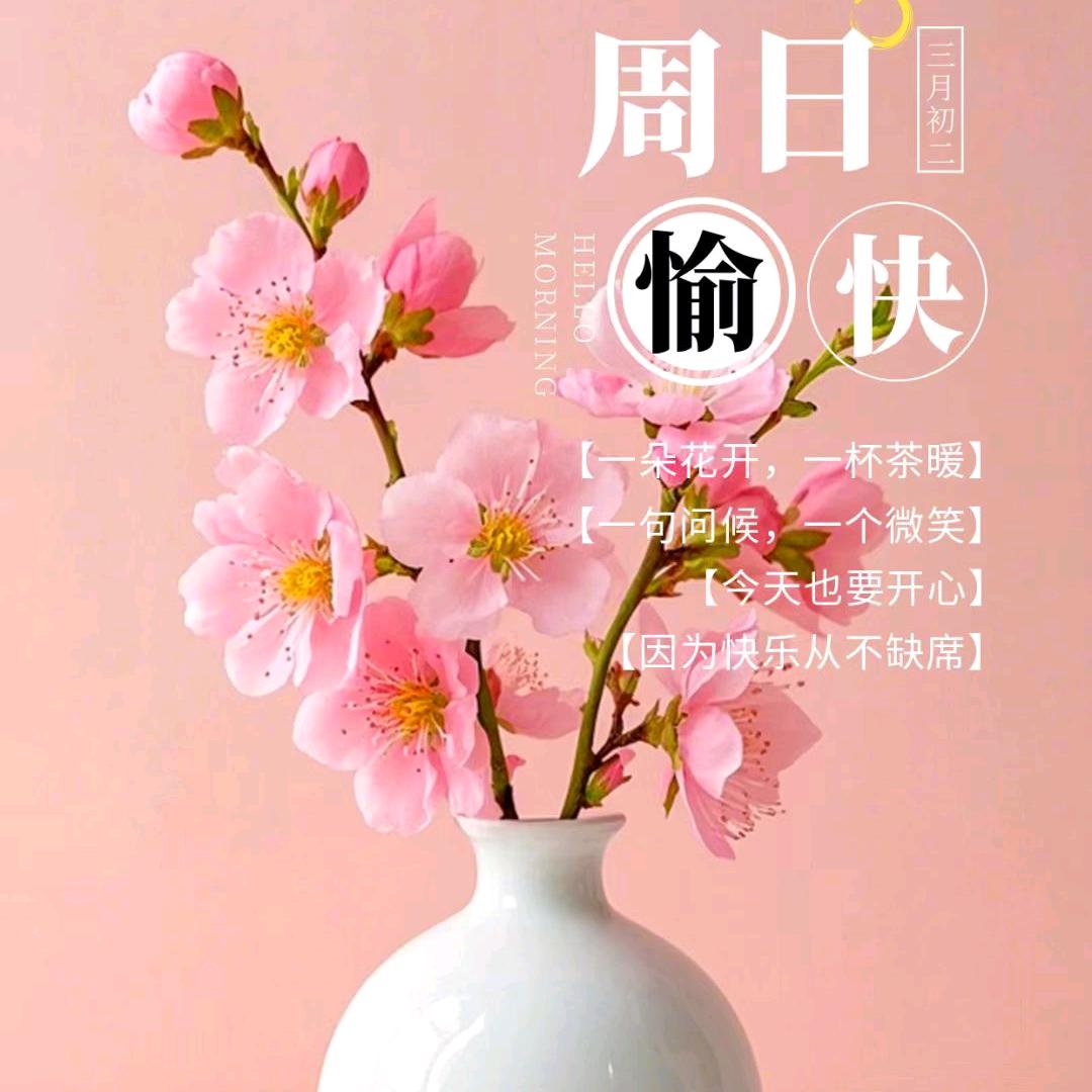 开心五姐❤️❤️🍎🍎