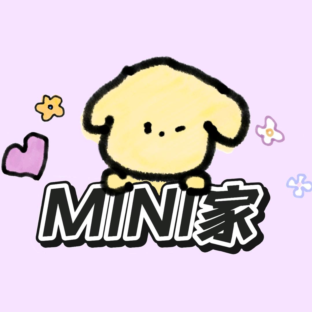 MINI发饰
