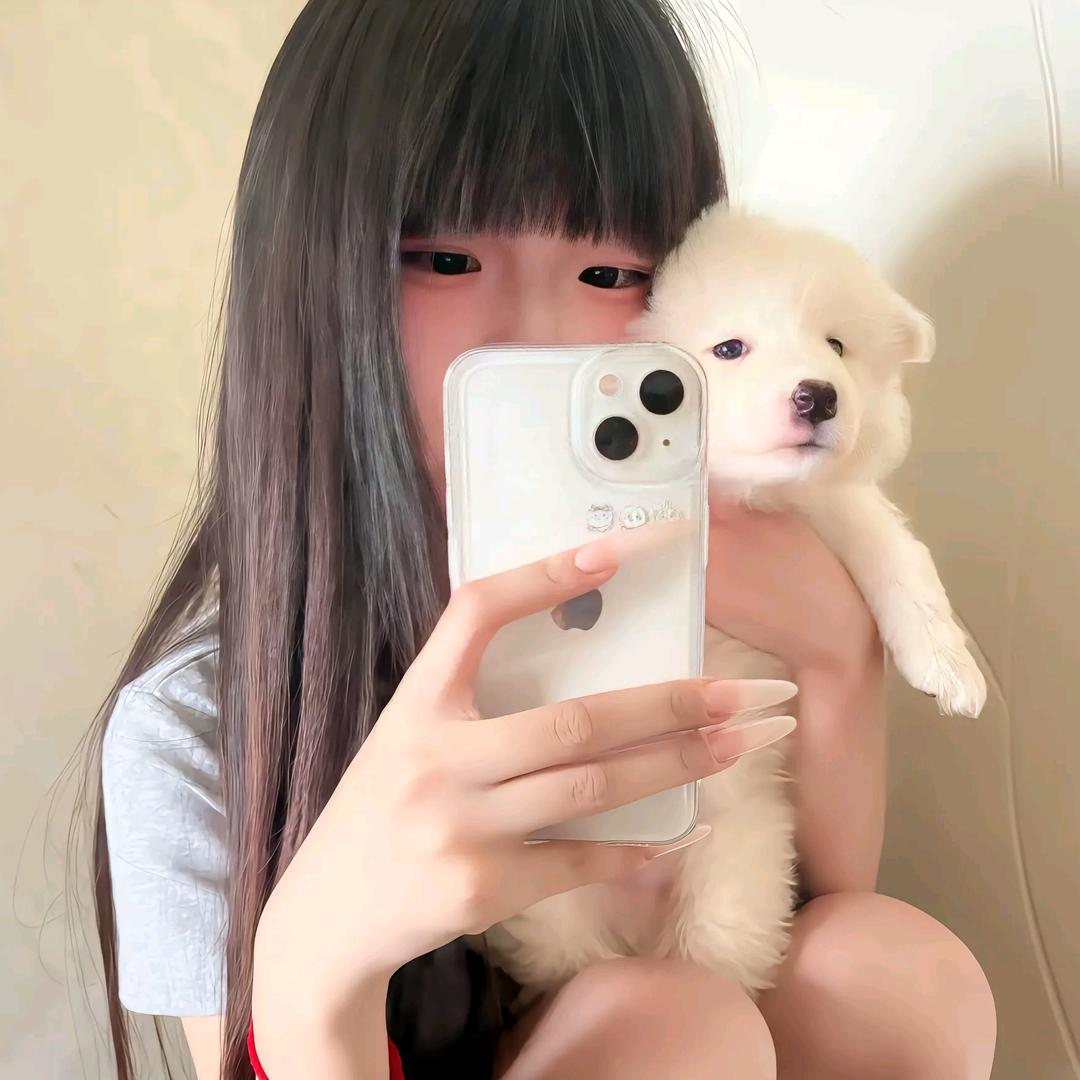 comfr.申核员小丸🌷