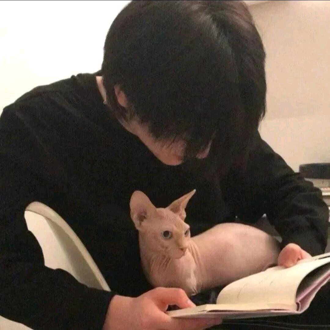 亦凡长毛版