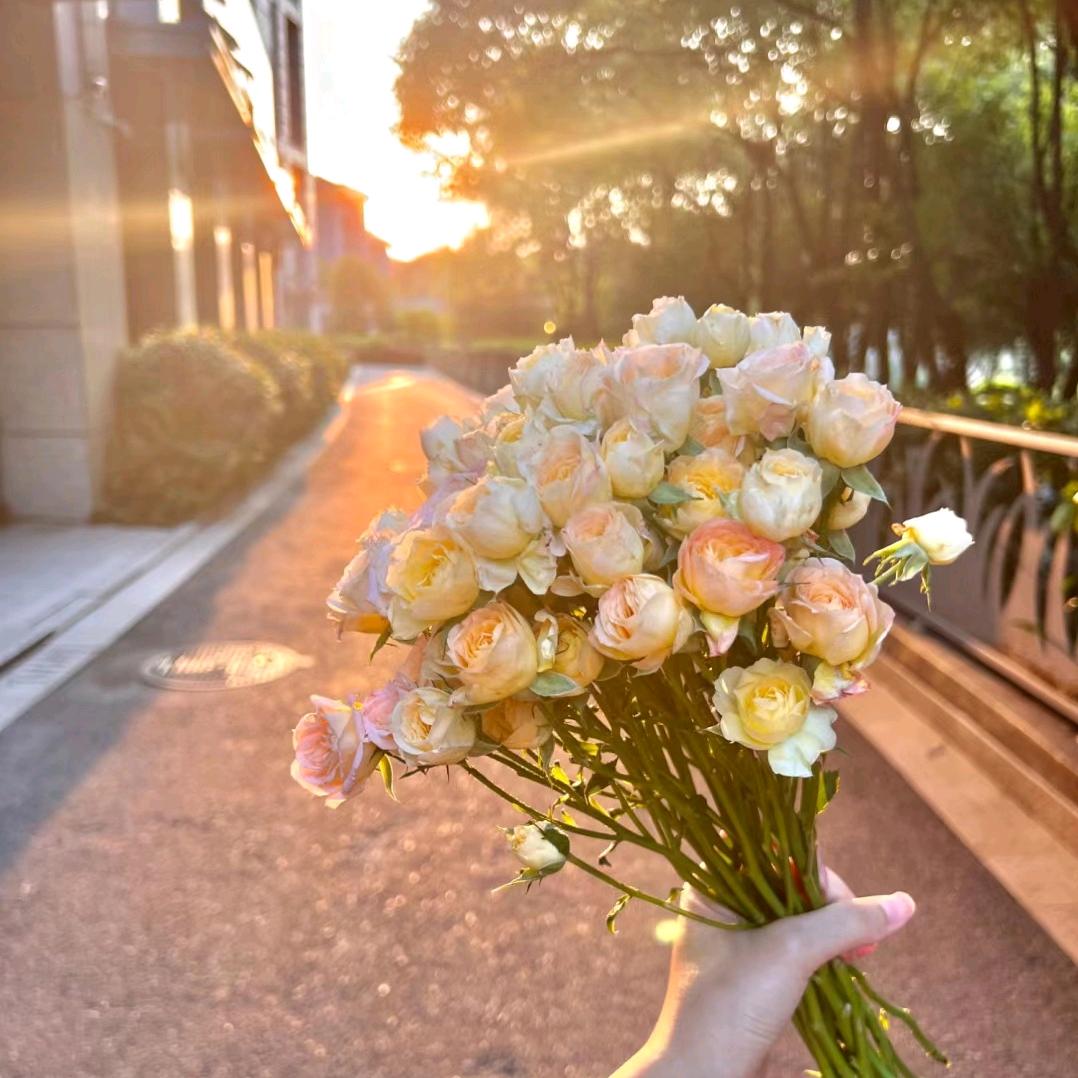 @初见