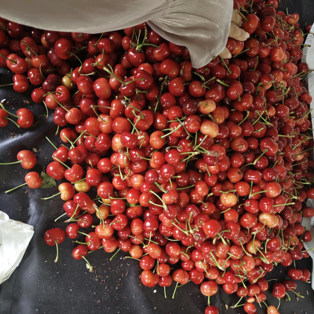 盛麦食品专营店