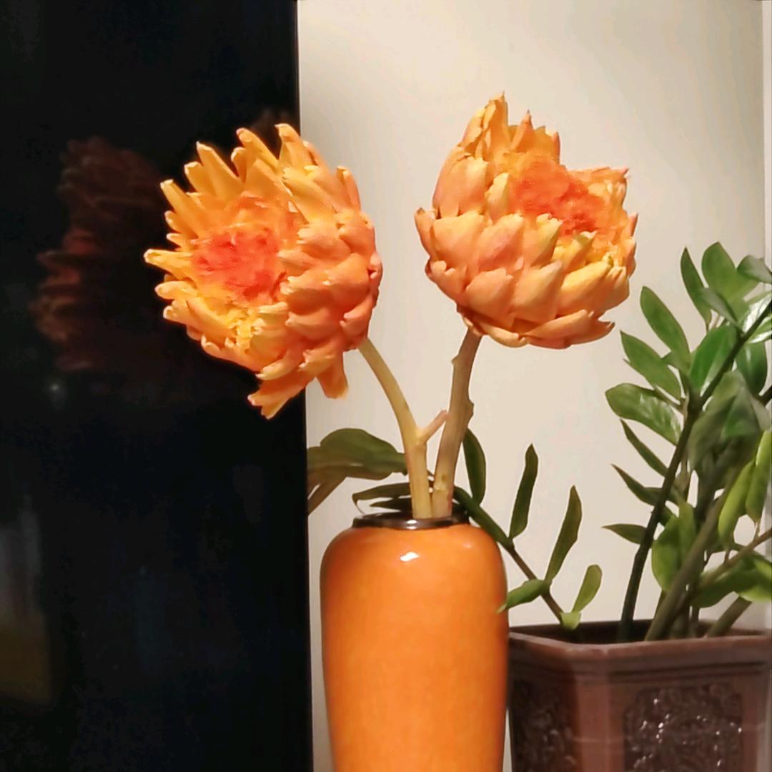 🇨🇳(((ꎤ'ω')و三 ꎤ