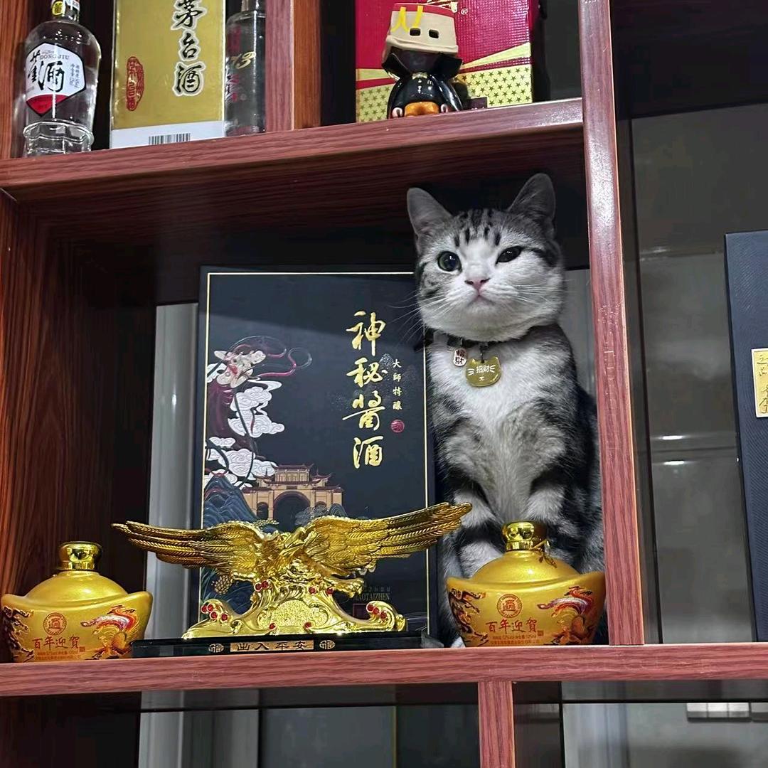 心简单世界就简单