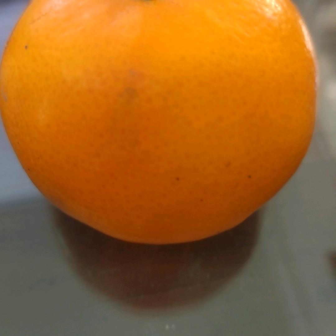 橘子