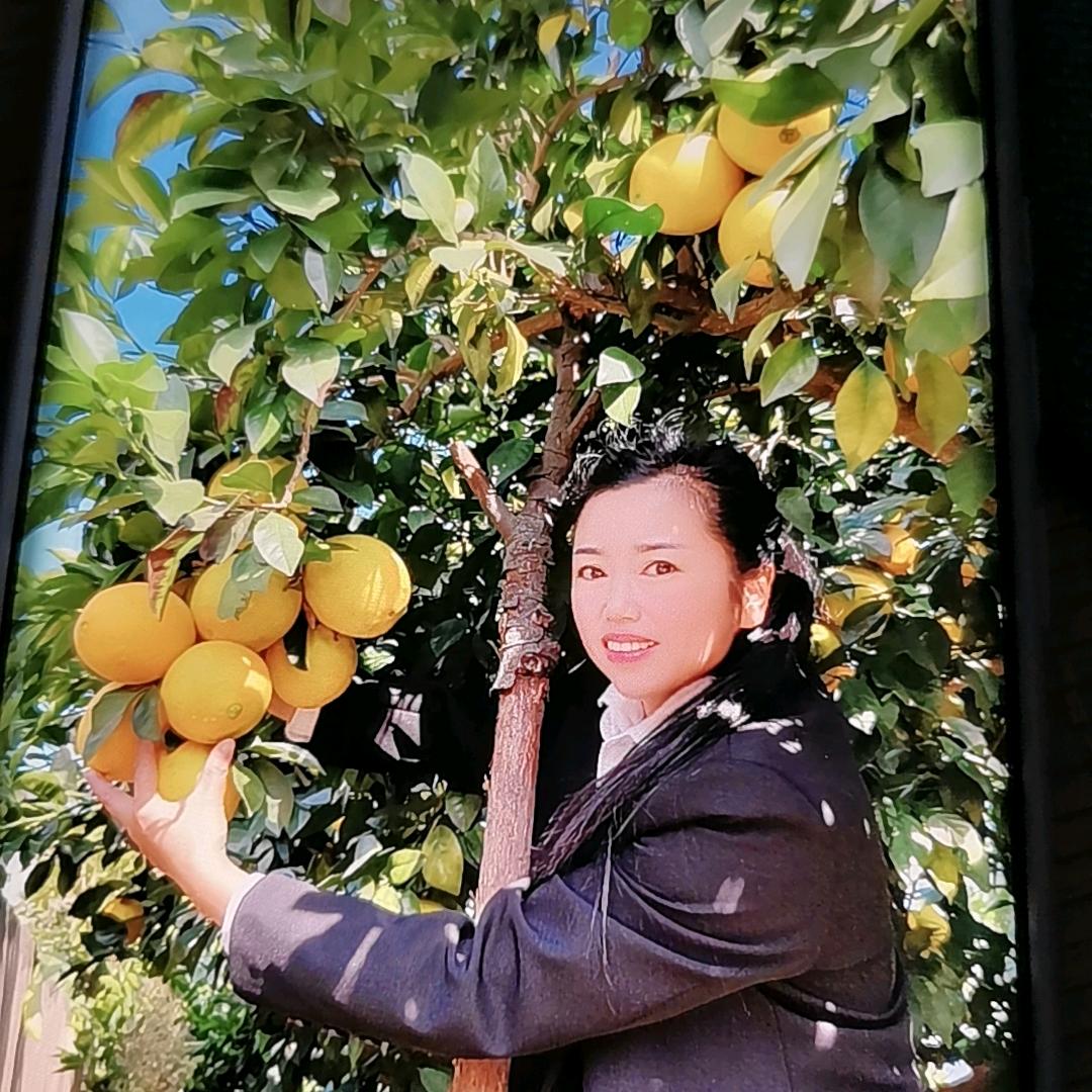 赣南脐橙阿英家