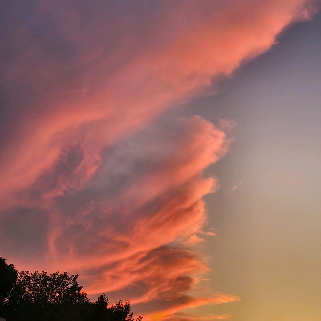 時      　　　　　　　　🪳