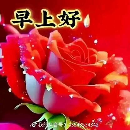 成善r富7 k@00p.qR 12/3