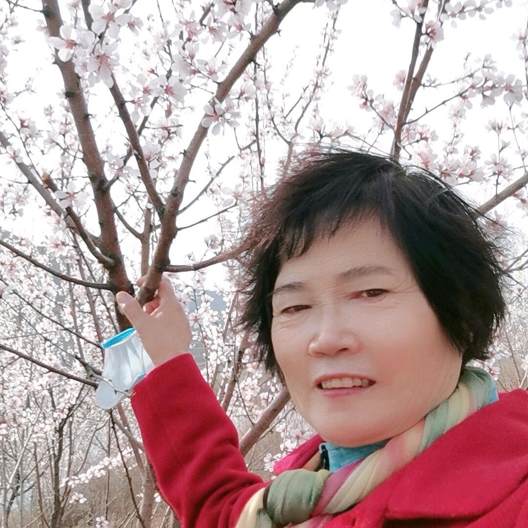 桐昕宸奶奶