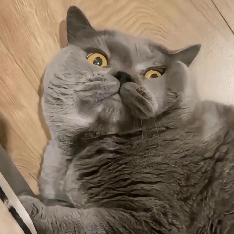 无敌火锅面大侠