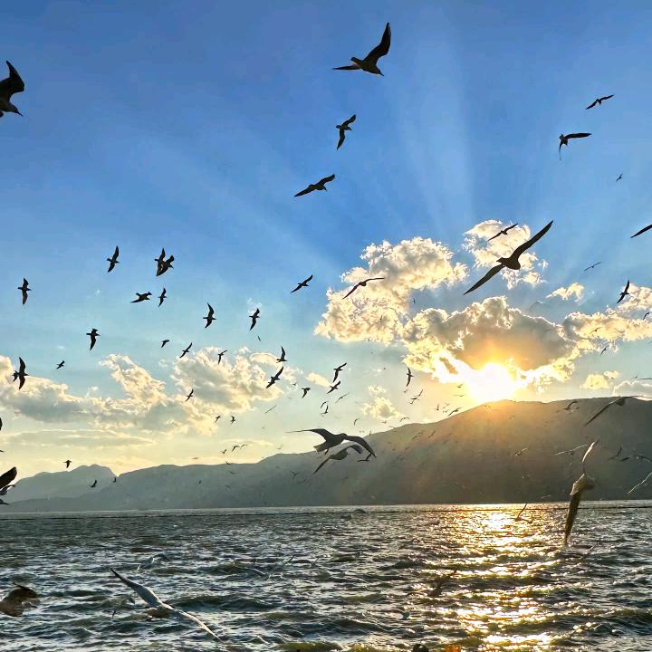 莫正科技