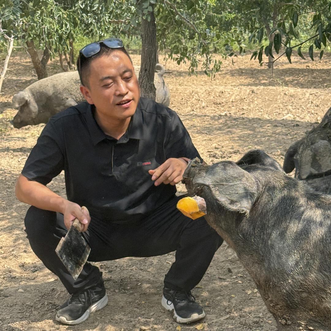 锋言利语