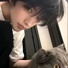 未知领域的妖精