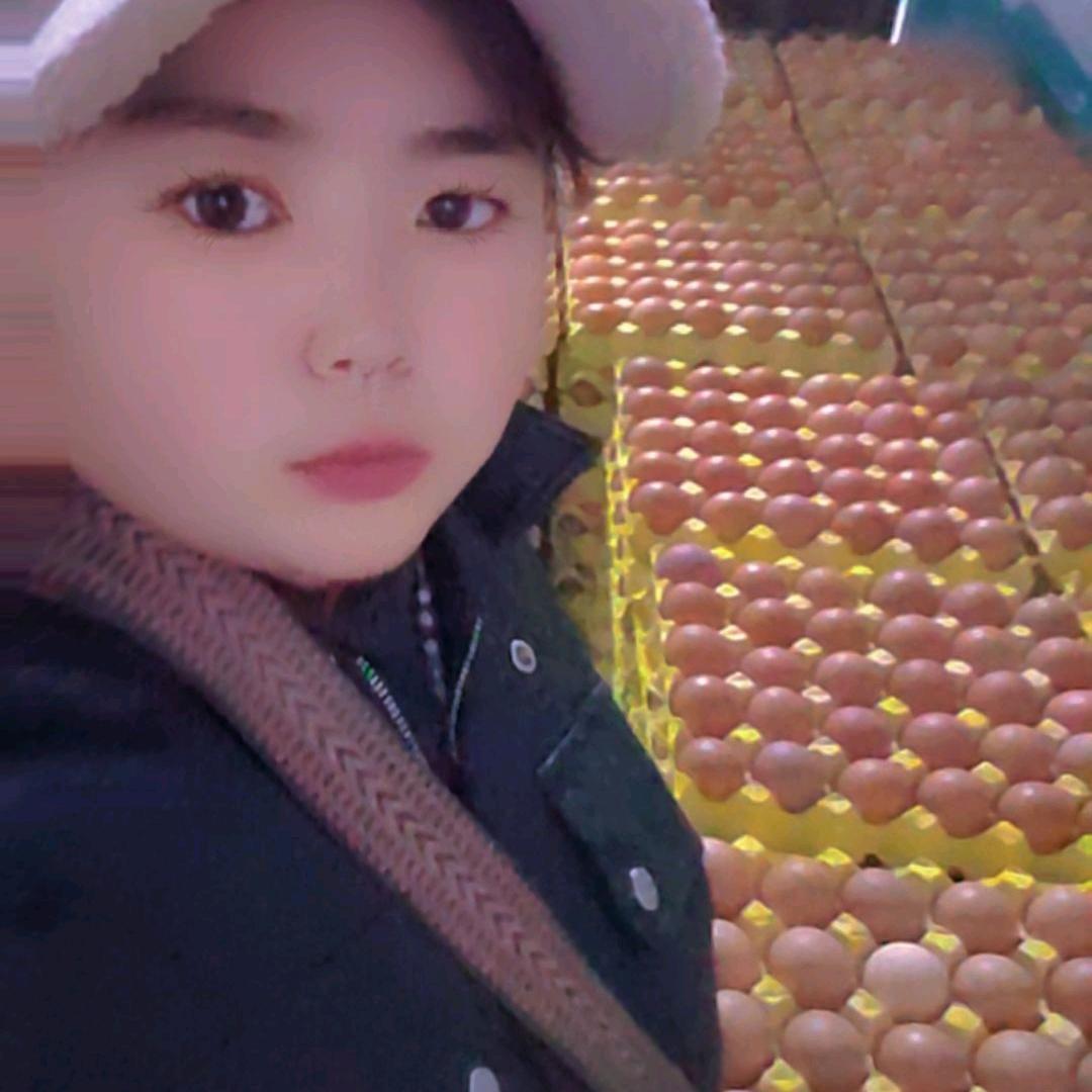 乾县蛋🥚姐