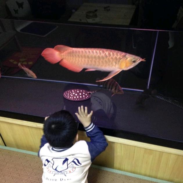 海派民工