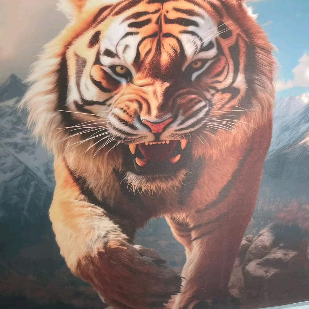 狼群之王，霸气