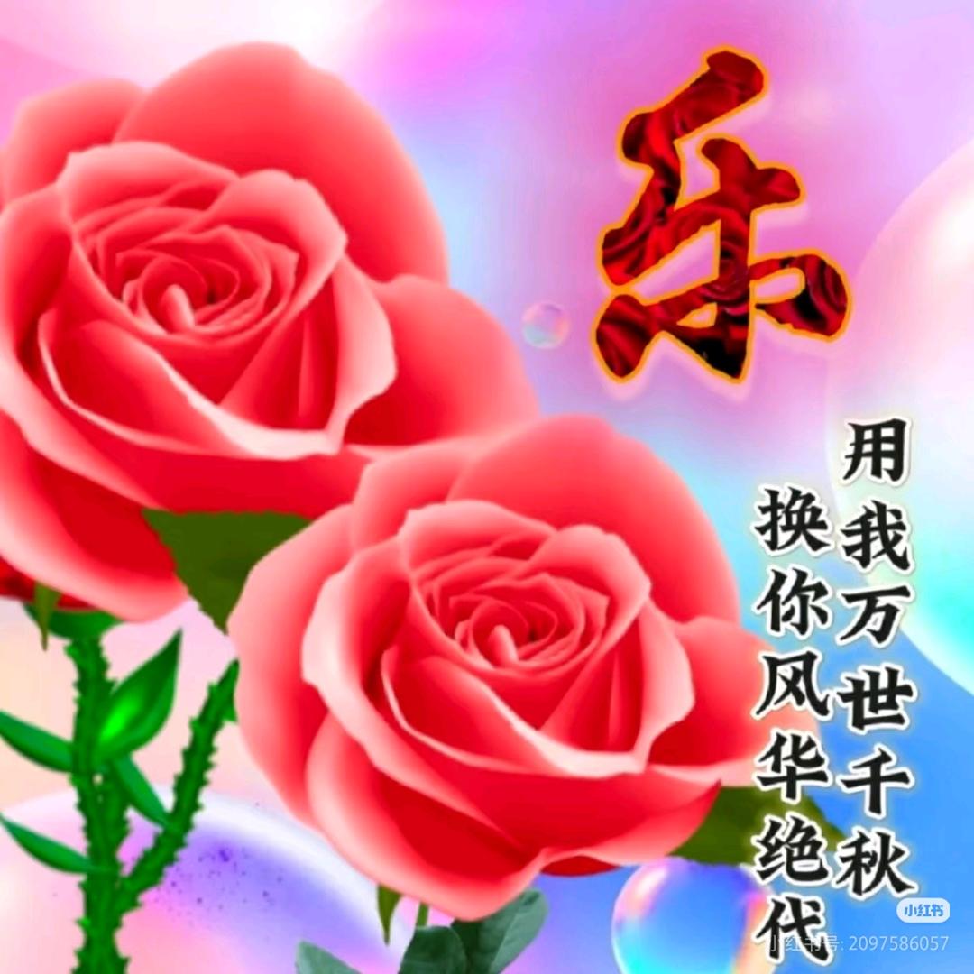 58岁群姐选品