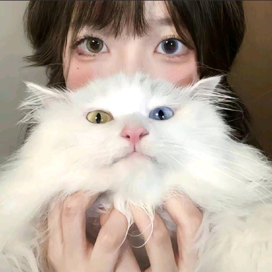 二军下江南