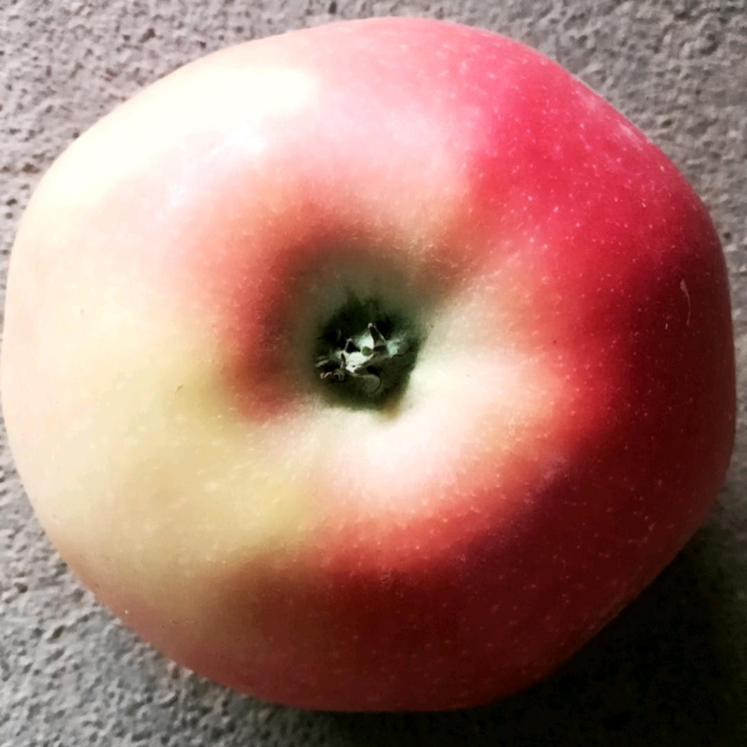 下郭亚勇便民站