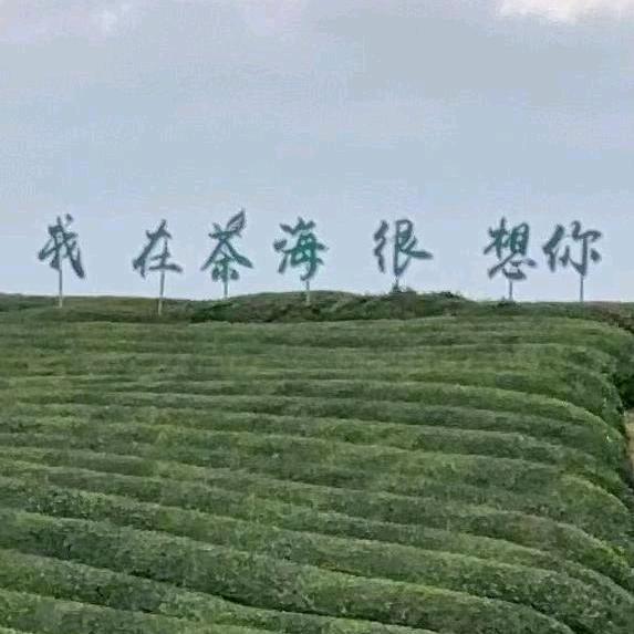 承诺