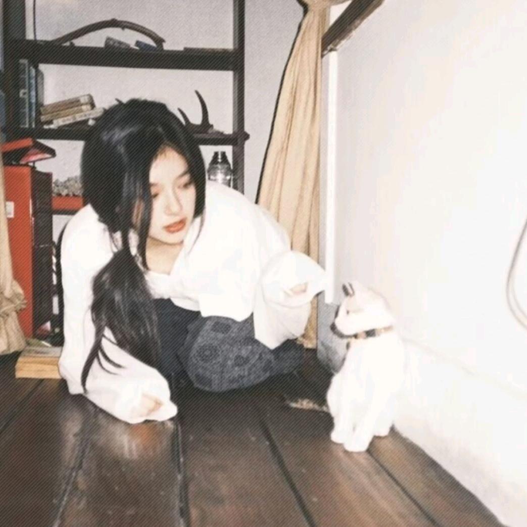 摆烂的土拨鼠