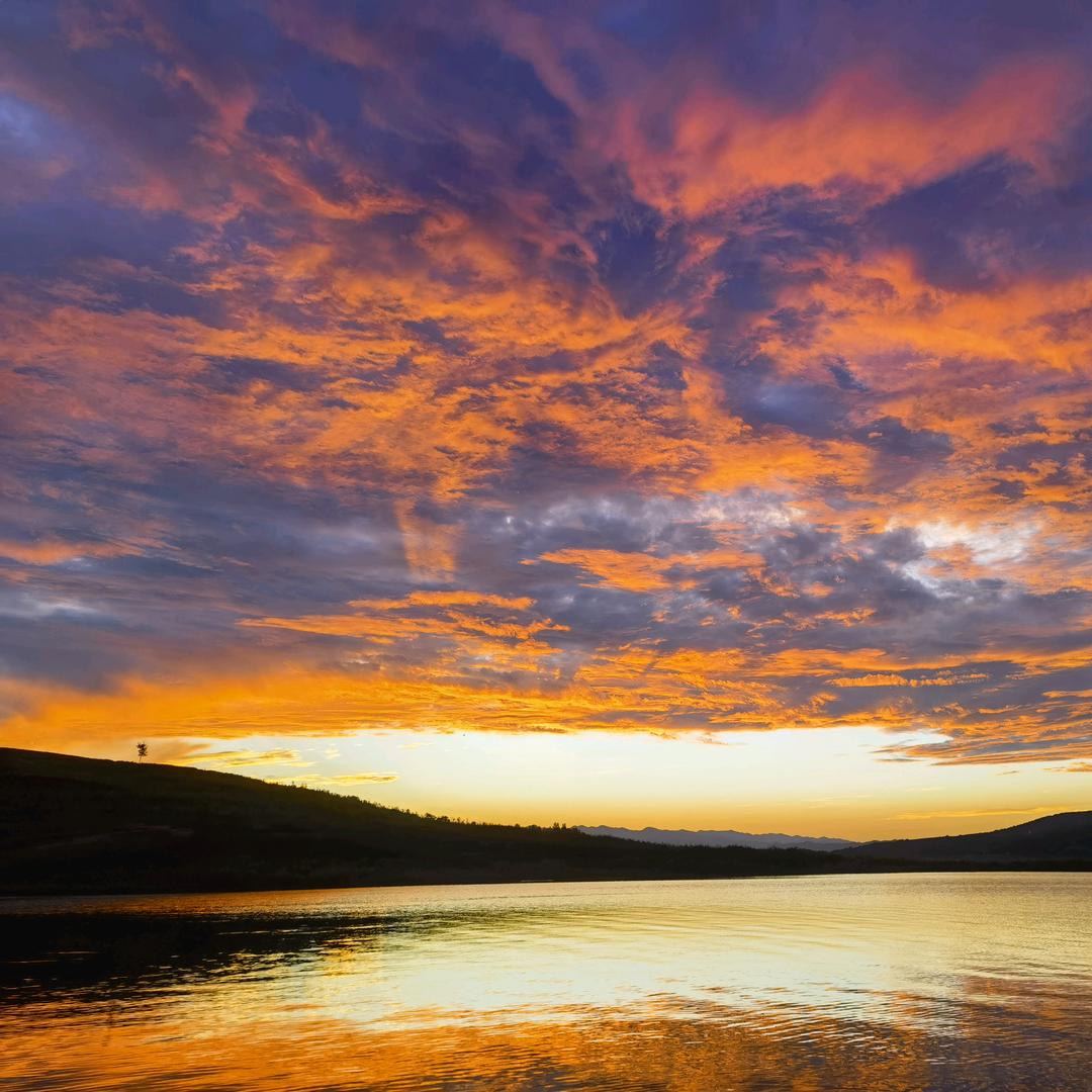 &风一样自由....