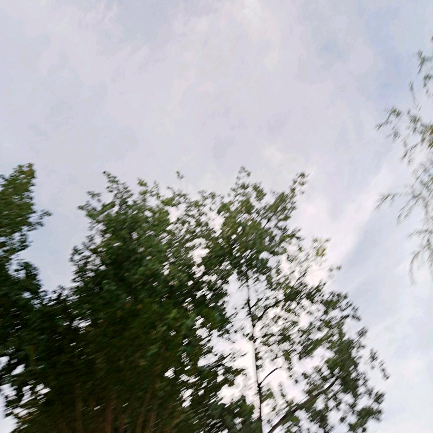 错觉160发发