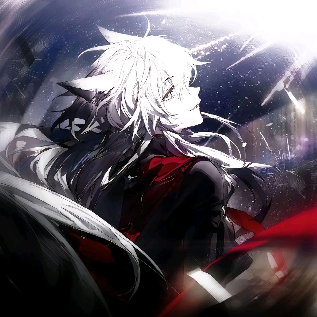 疯癫小狼（戒色版）