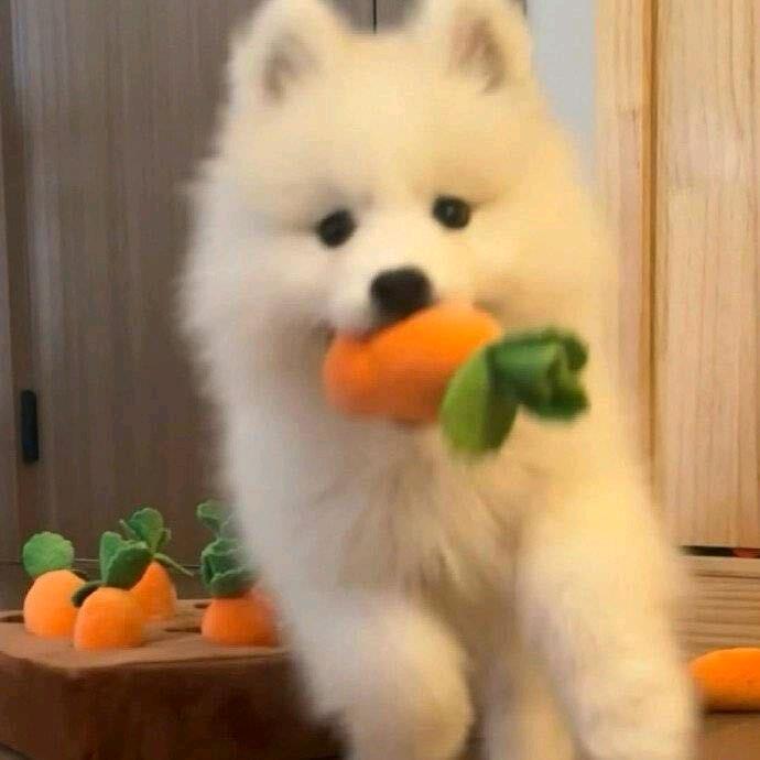 谁不重要I