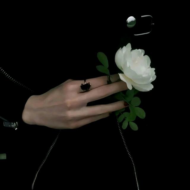 顔总吃韭菜