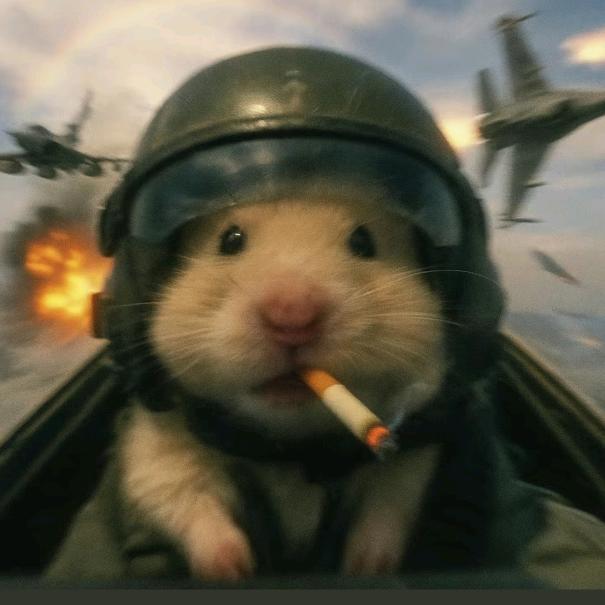 三角洲鼠鼠跑刀