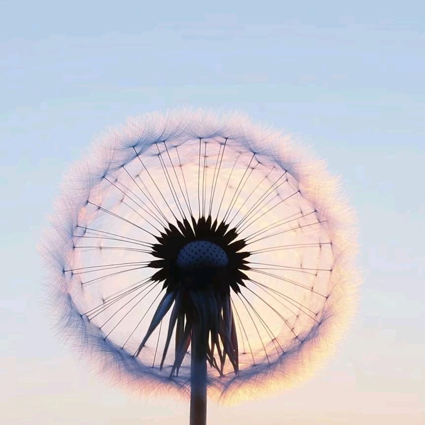 幻影剑舞