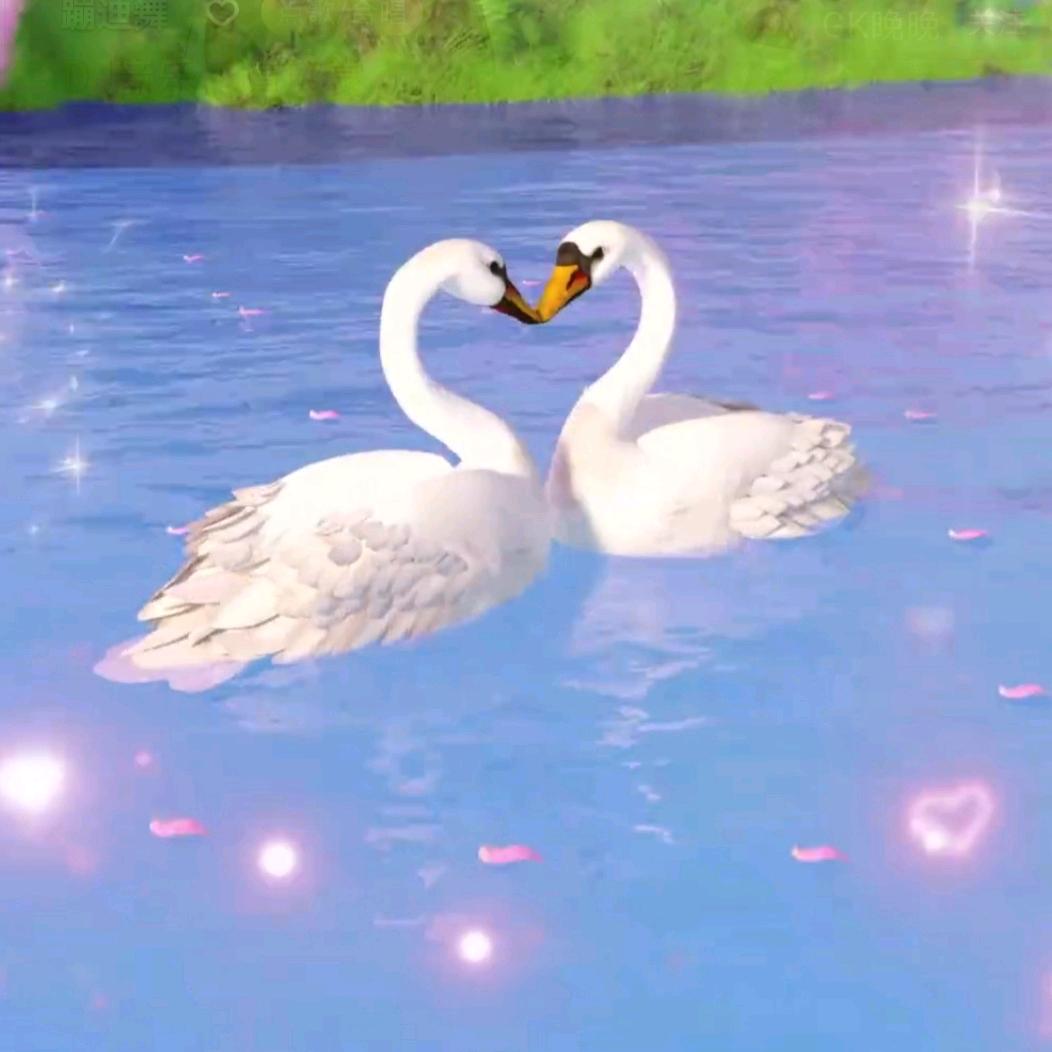 ⭐️⭐️星辰⭐️⭐️