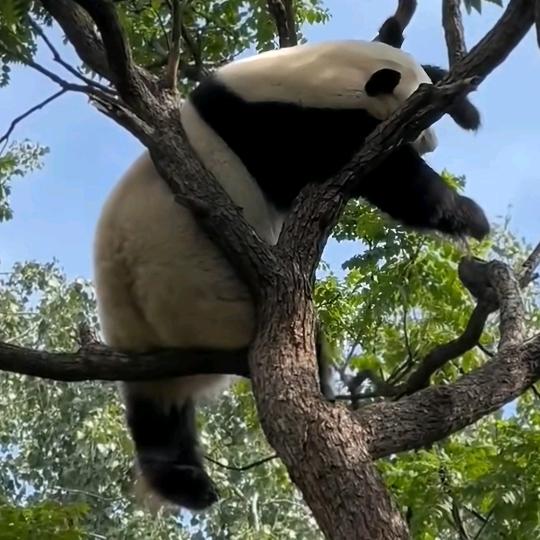 过客