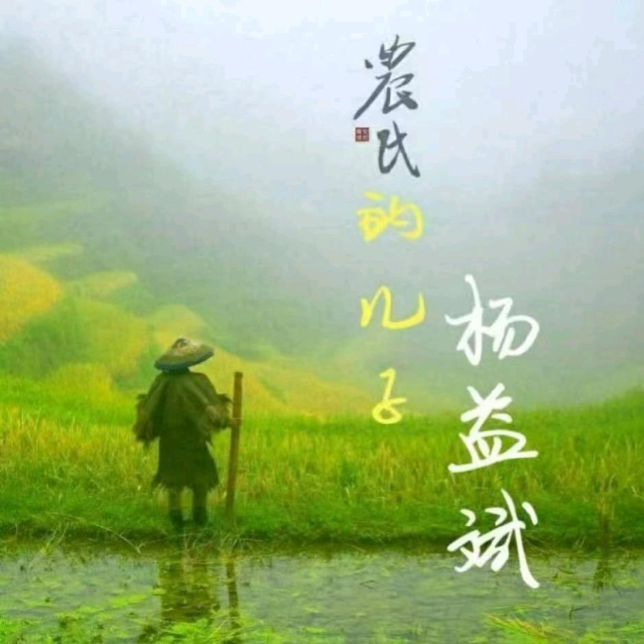 杨益斌