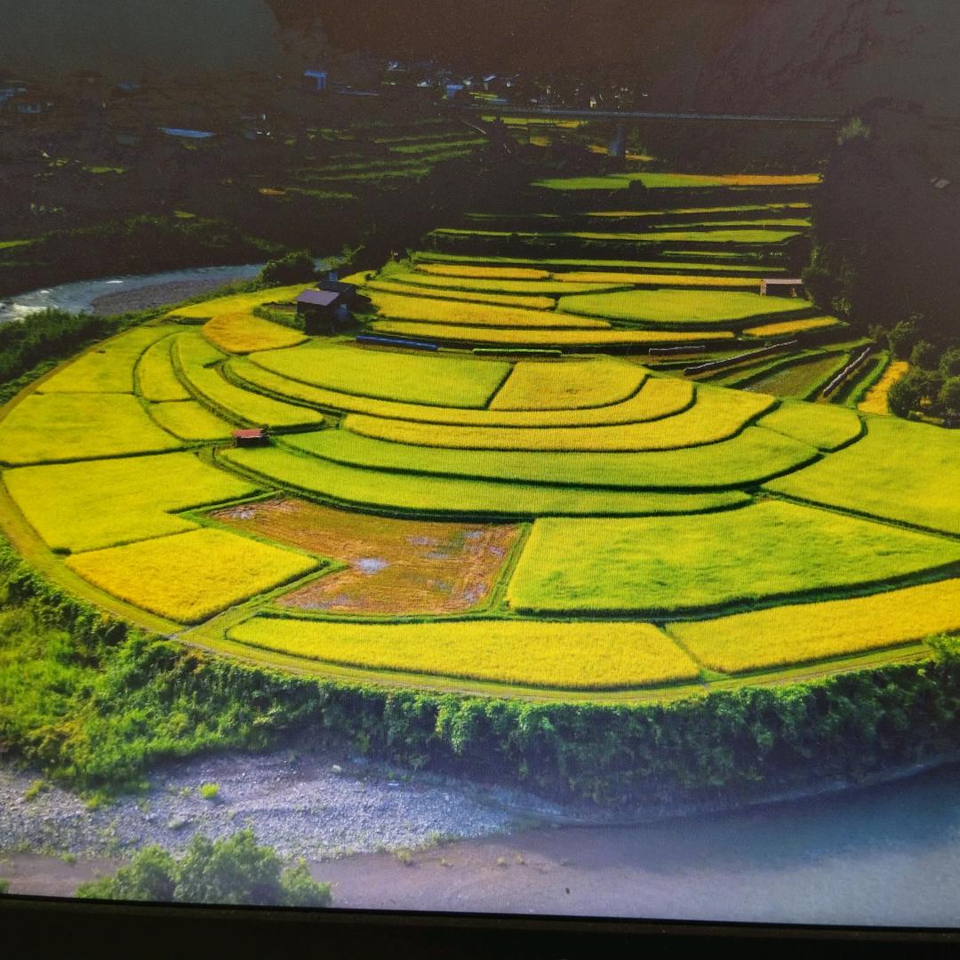 万安米哥