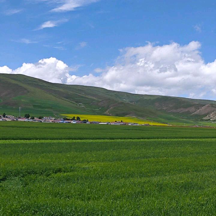 纳艾思床垫(全拆洗、0胶水)