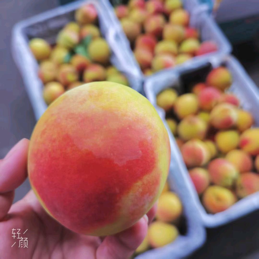 喜喜炒鸭