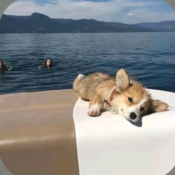 -—Zzz