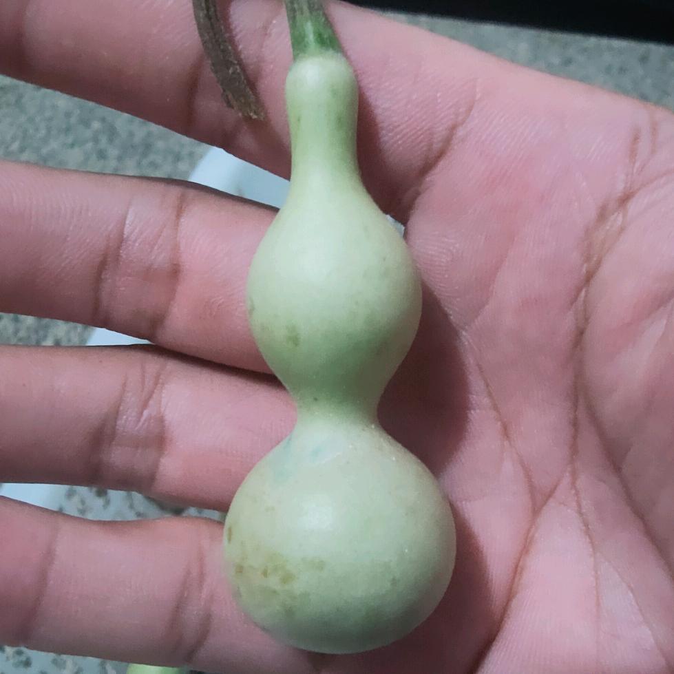 葫说