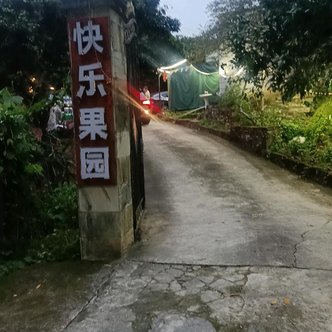 阿文