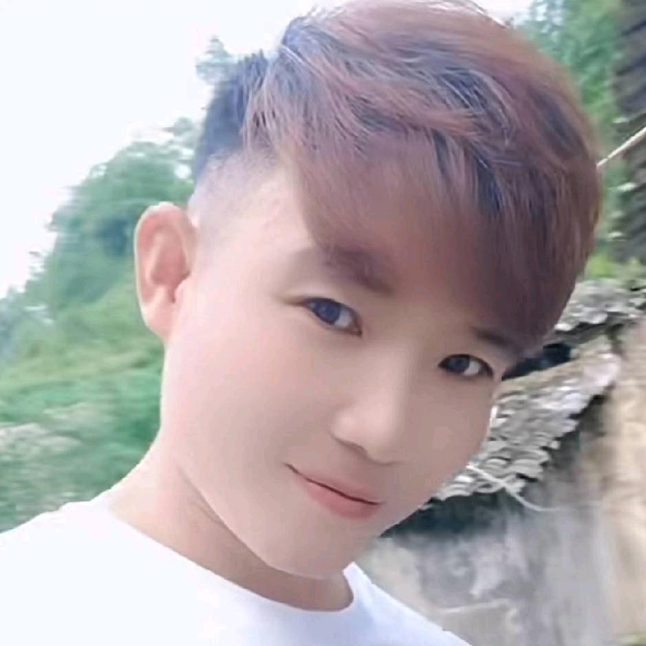 长安蜂哥