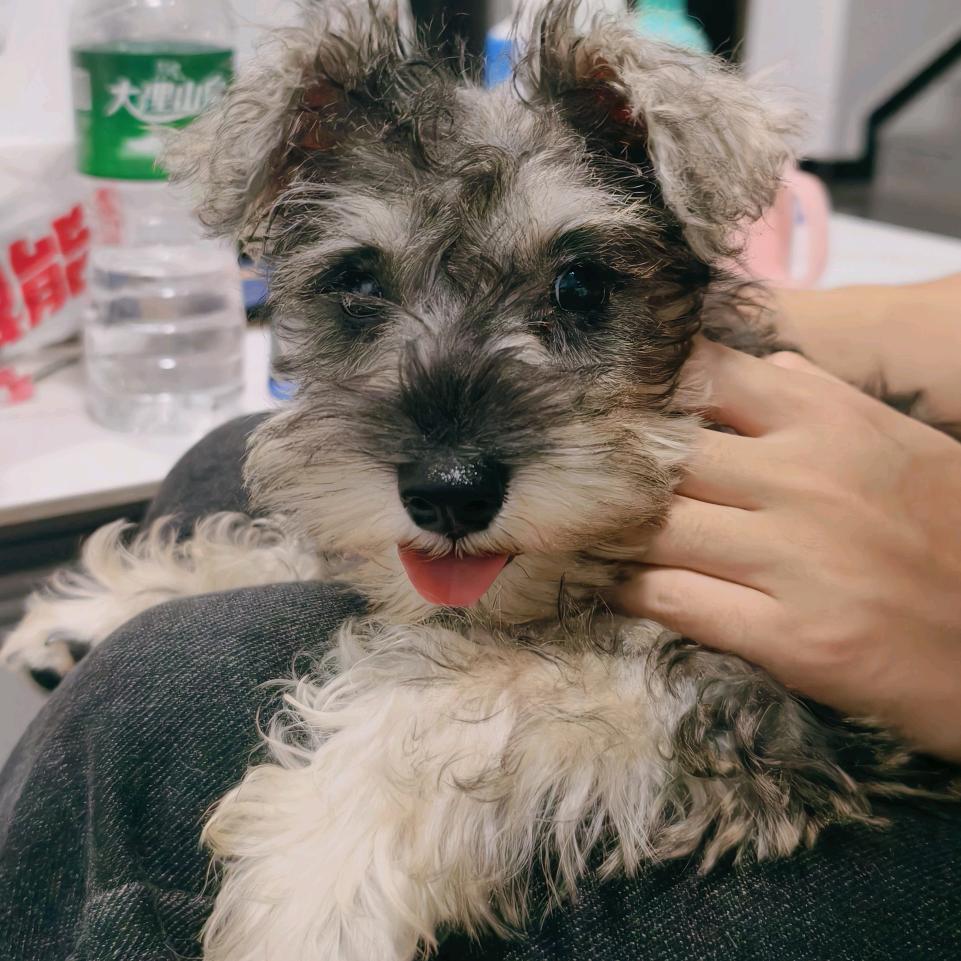 七月的幸福生活